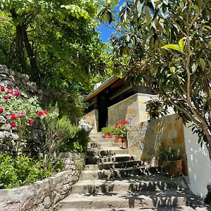 Latifi Gjirokastër